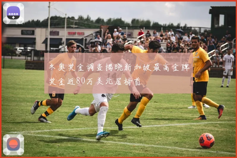 冬奥奖金调查揭晓新加坡最高金牌奖金近80万美元居榜首