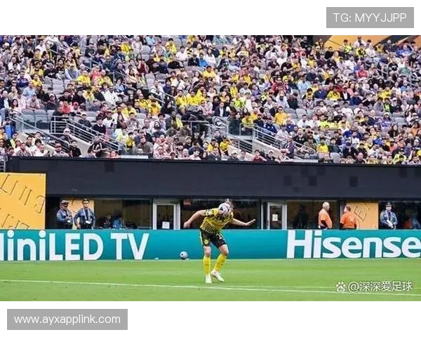 德甲部分球队率先恢复训练的进展